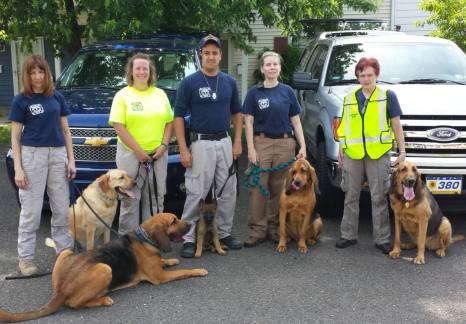 K9 Averi with his handler and team